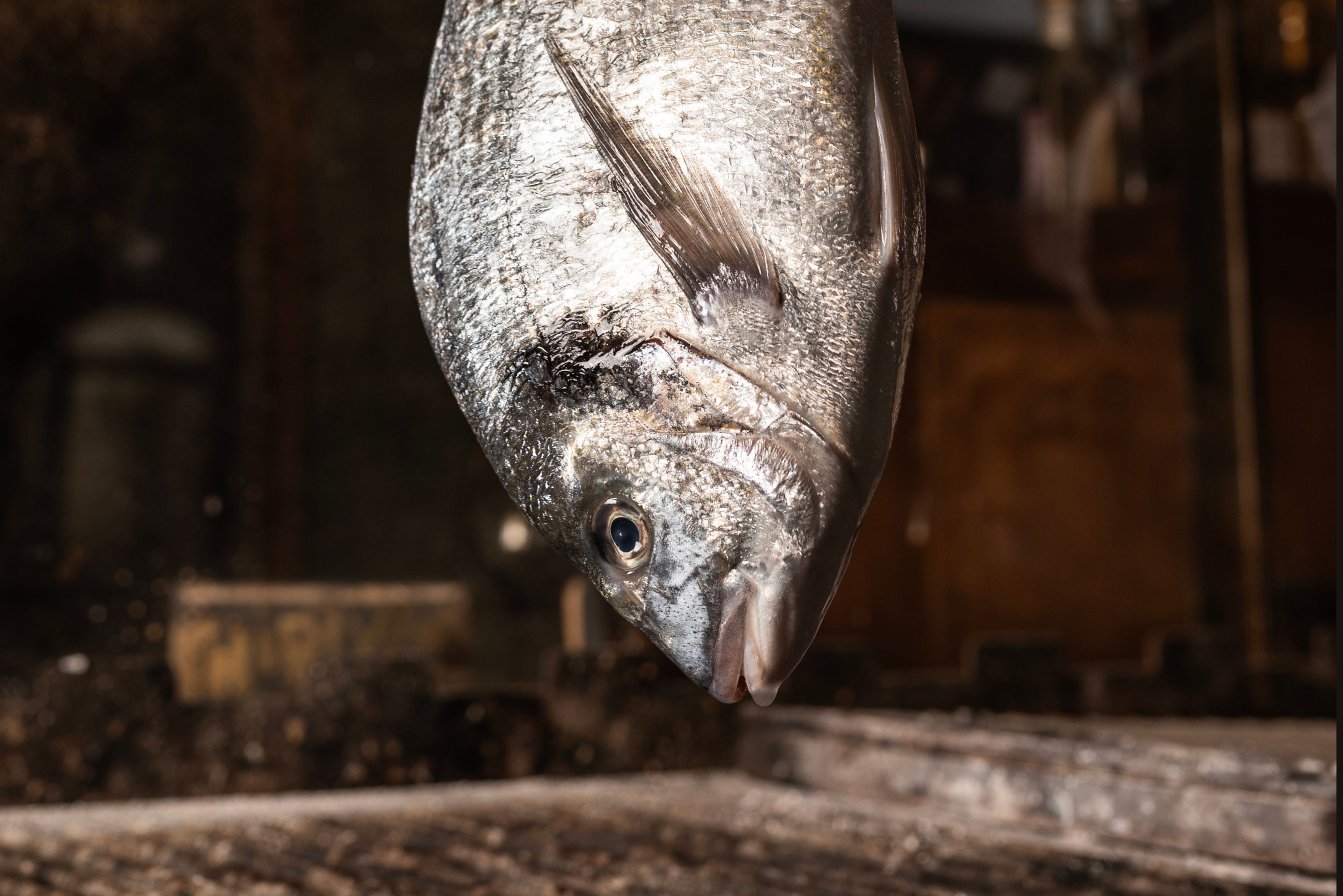 officina-visiva-food-photography-chef-ristoranti